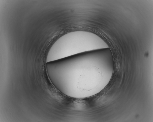 X0000095960603200801110948