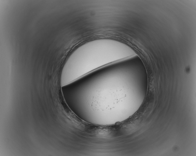 X0000095960604200801110948