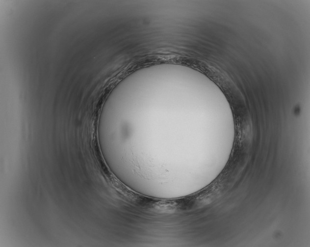 X0000095960606200801110948