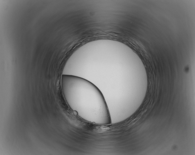 X0000095960607200801110948