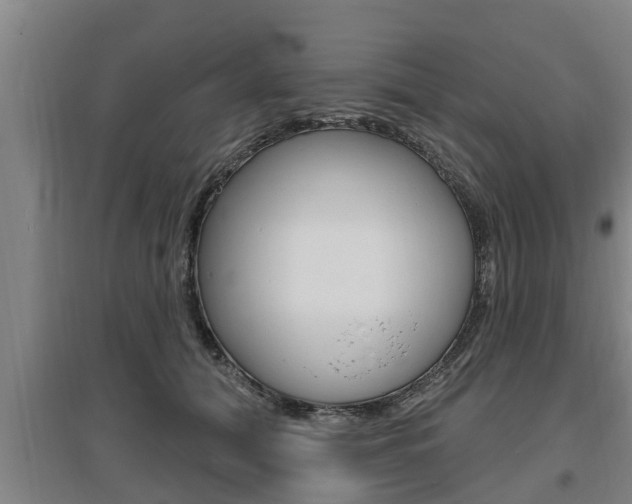 X0000095960608200801110948