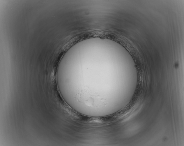 X0000095960610200801110948