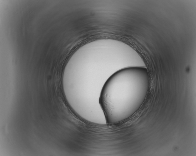 X0000095960616200801110948