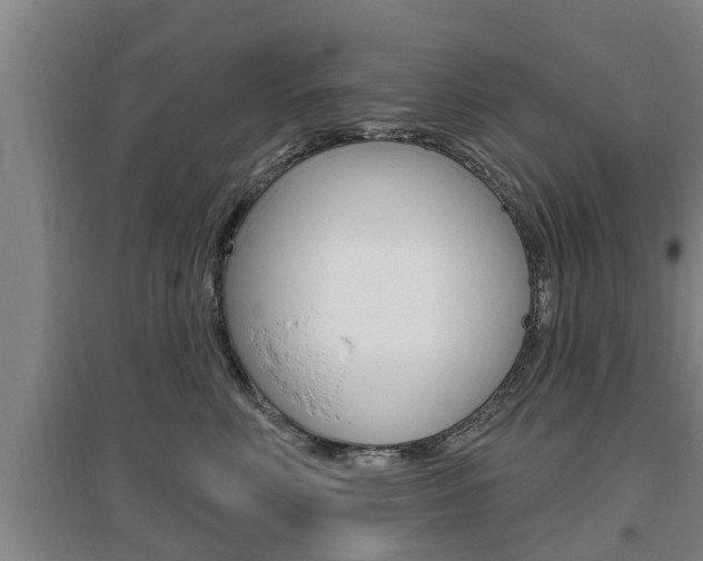 X0000095960618200801110947