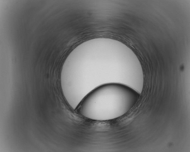 X0000095960619200801110947