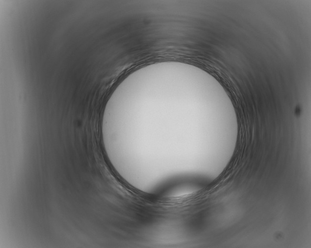 X0000095960620200801110947