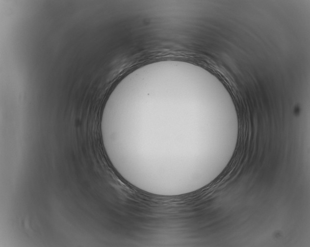 X0000095960621200801110947