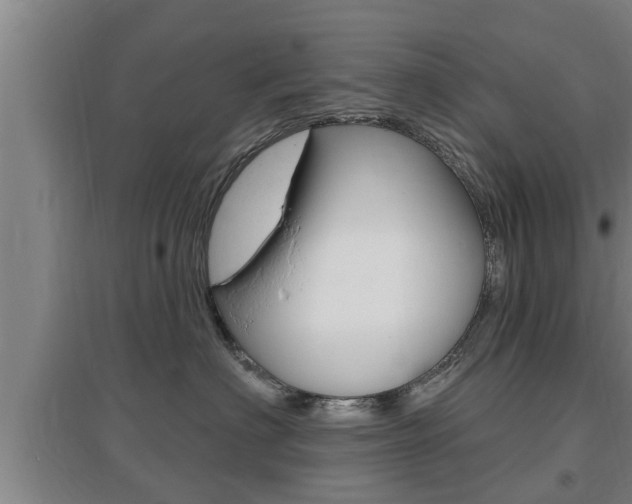 X0000095960622200801110947