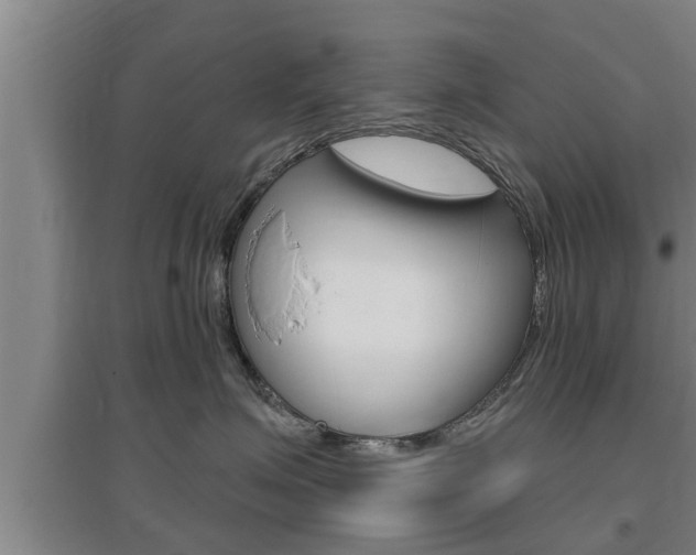 X0000095960623200801110947