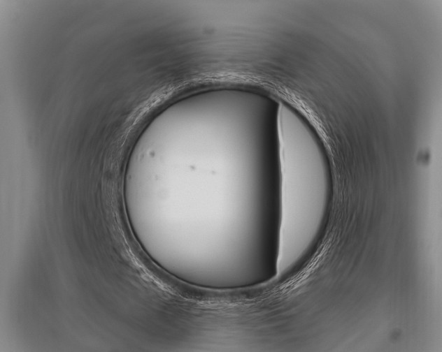 X0000095960625200801110947