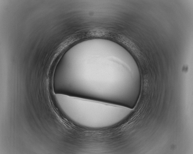 X0000095960626200801110947