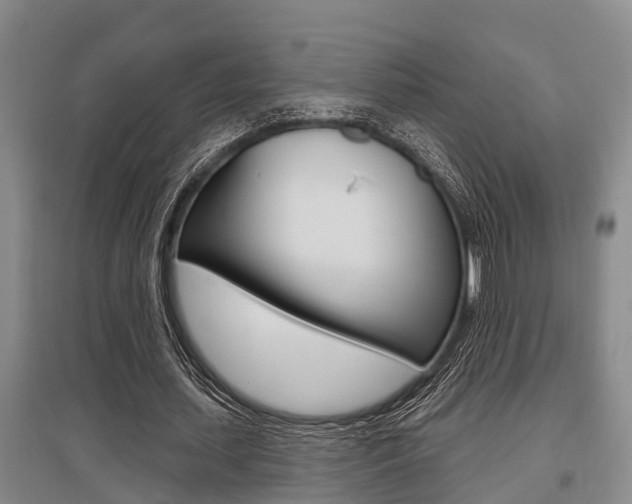 X0000095960627200801110947