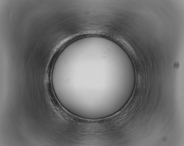 X0000095960628200801110947