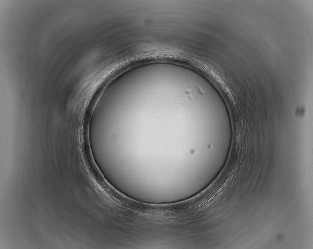 X0000095960629200801110947