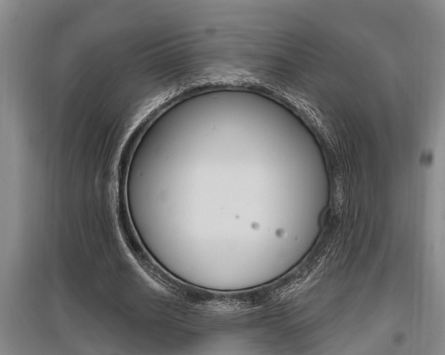 X0000095960630200801110947