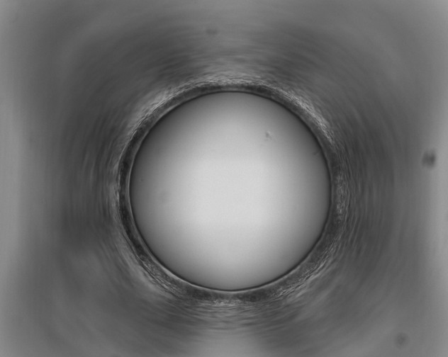 X0000095960631200801110947