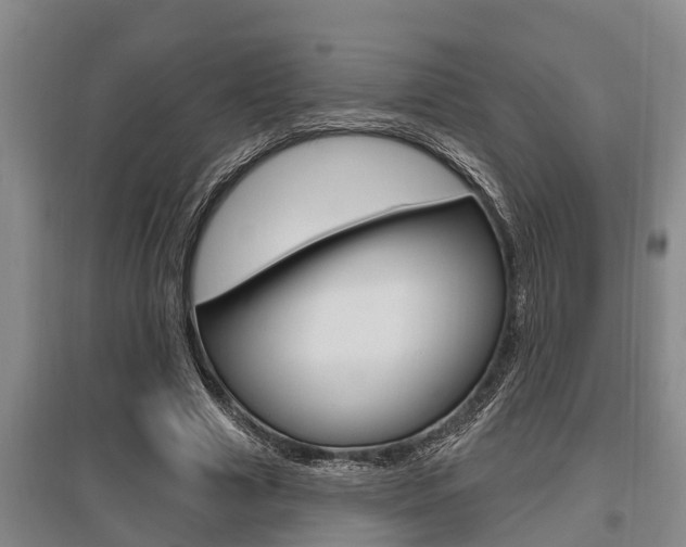 X0000095960633200801110947