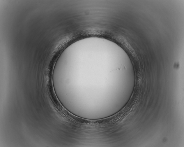 X0000095960635200801110947