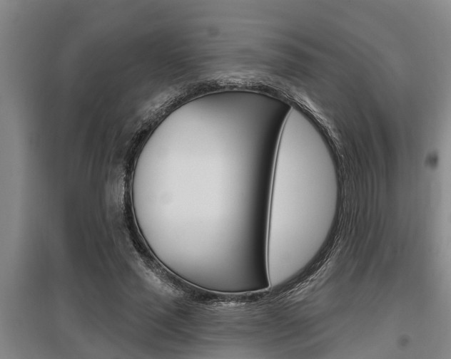 X0000095960637200801110947