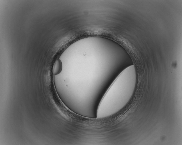 X0000095960638200801110947