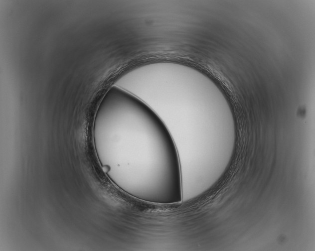 X0000095960639200801110947