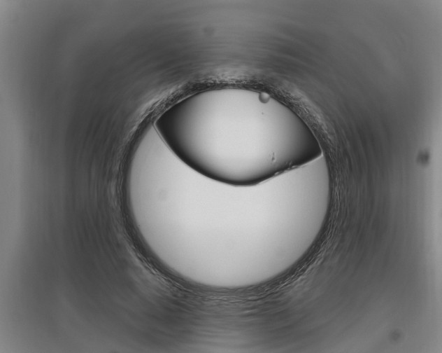 X0000095960640200801110947