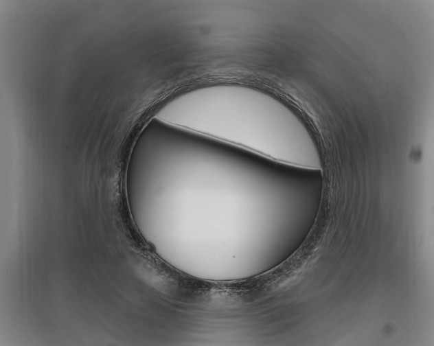 X0000095960641200801110947