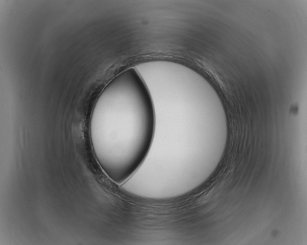 X0000095960643200801110947
