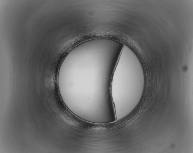 X0000095960644200801110947