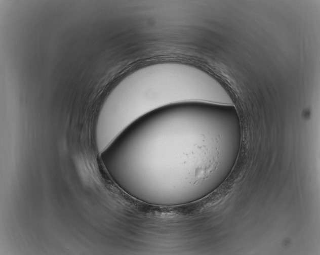 X0000095960645200801110947
