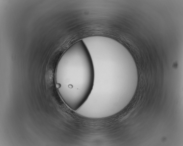 X0000095960646200801110947