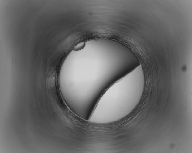 X0000095960647200801110947