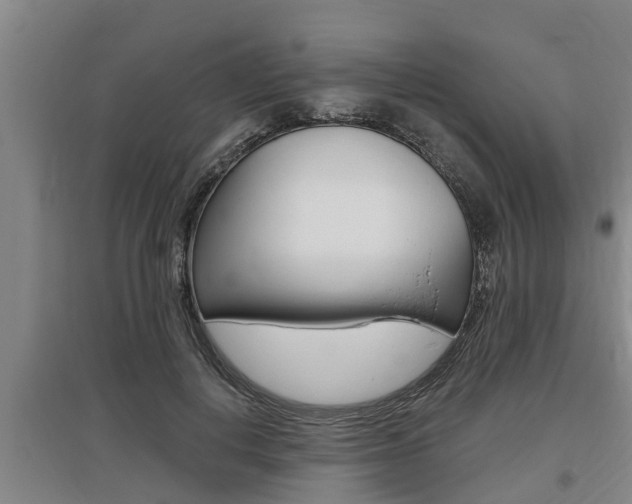 X0000095960648200801110947