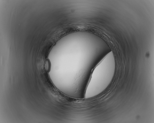 X0000095960651200801110947