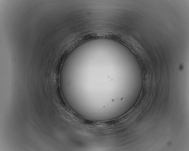 X0000095960653200801110947