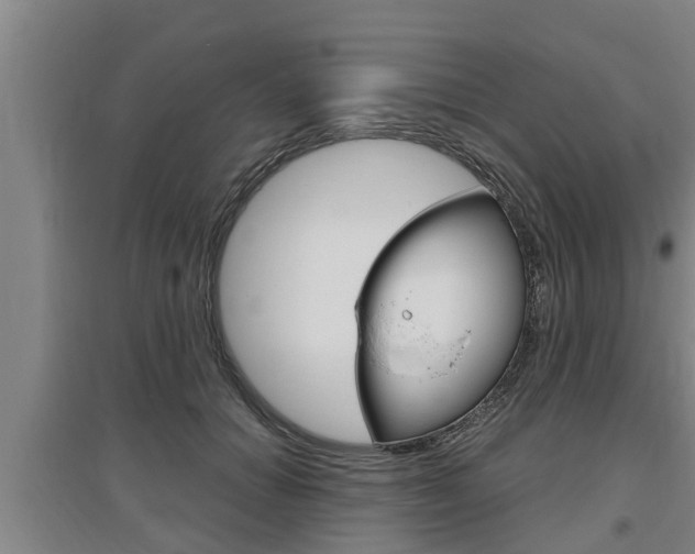 X0000095960654200801110947