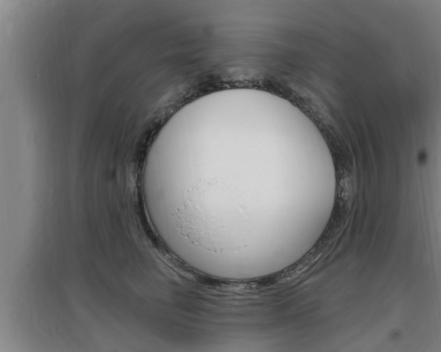 X0000095960662200801110947