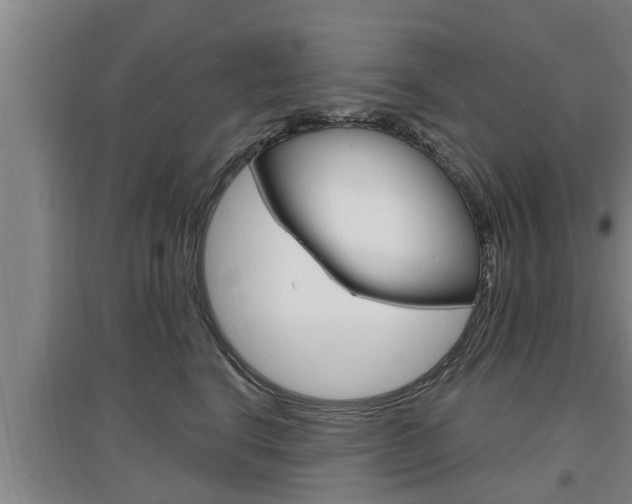 X0000095960664200801110947