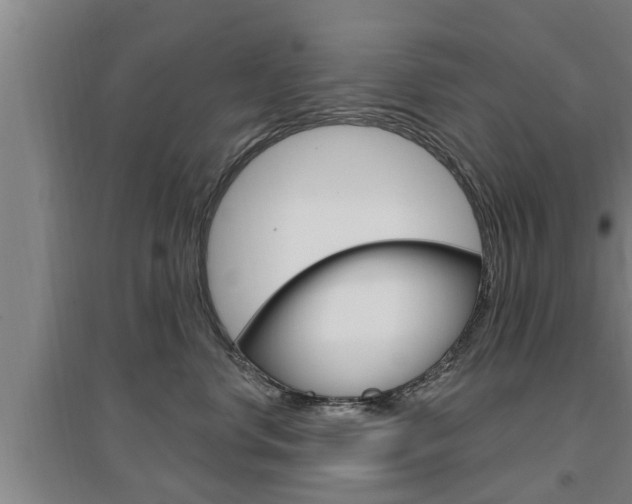 X0000095960668200801110947