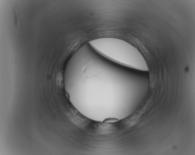X0000095960669200801110947
