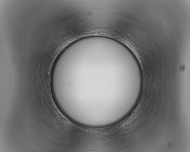 X0000095960673200801110947