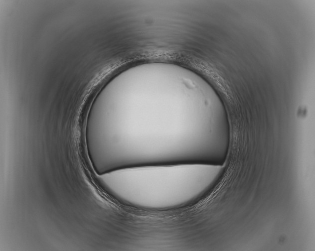 X0000095960674200801110947