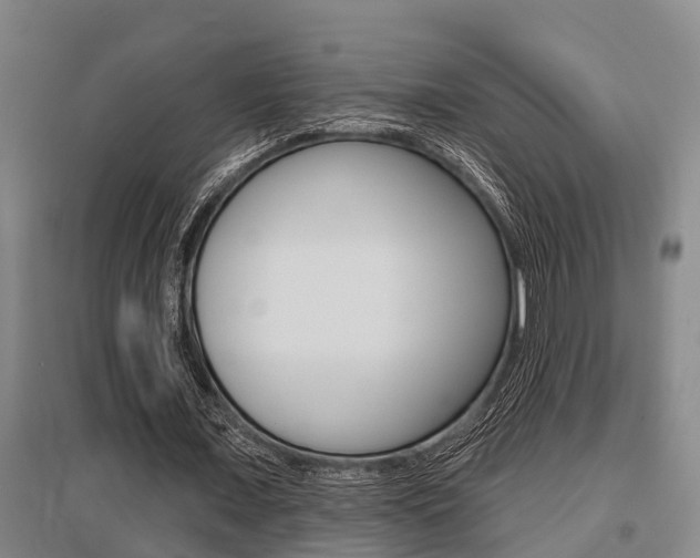 X0000095960675200801110947