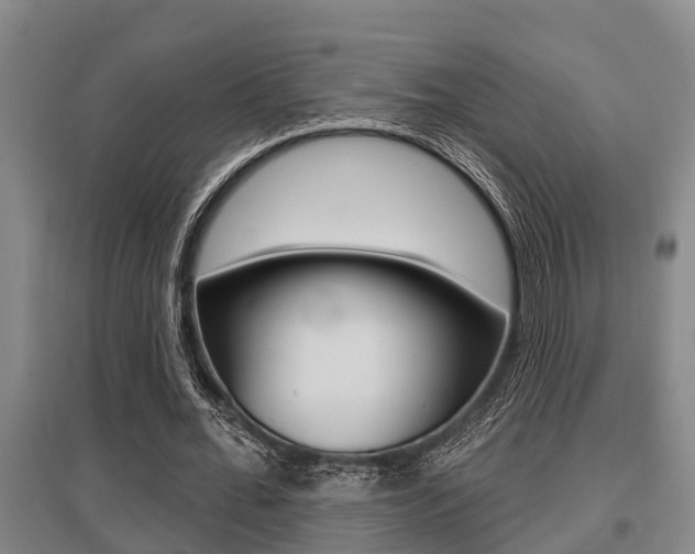 X0000095960676200801110947