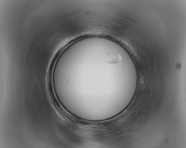 X0000095960678200801110947