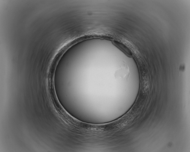 X0000095960680200801110947