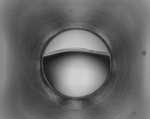X0000095960681200801110947