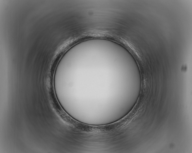 X0000095960682200801110947