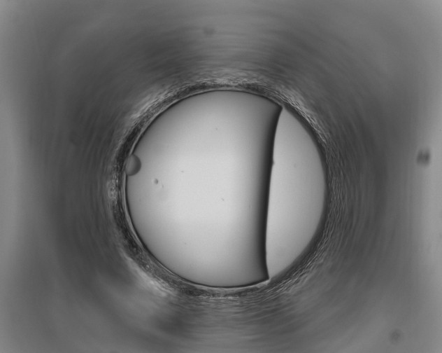 X0000095960683200801110947
