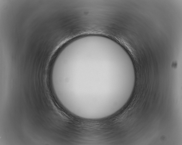 X0000095960684200801110947